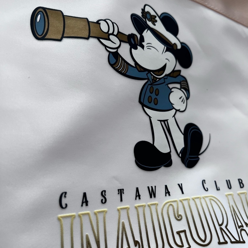 NWT Disney Wish Inaugural Sailings Tote and - Picture 4 of 16